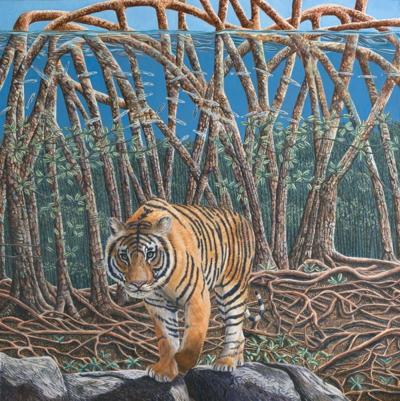 An eco-magical realism illustration of a Bengal tiger navigating a changing habitat, from the book Because We Love by Fiona Goulding.
