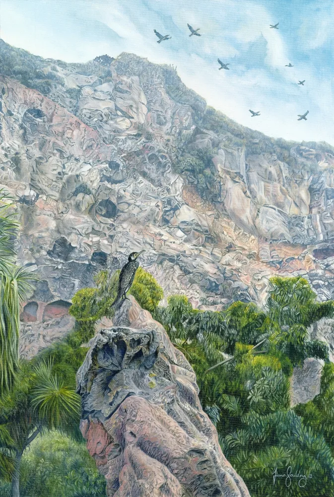 An oil painting of a Cormorant settling on a rock at Redcliffs near Sumner in Christchurch and observing birds overhead enjoying the thermals by artist Fiona Goulding.