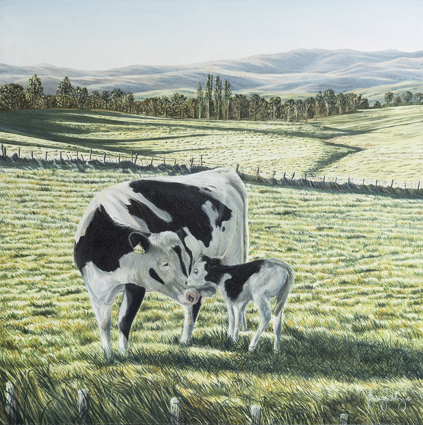 A realistic fine art painting of a cow and her calf in a wide New Zealand pasture, focusing on farm animal welfare.