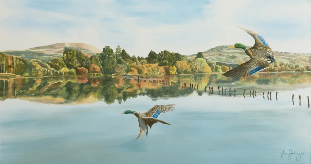 A soft nature realism painting of wild ducks gliding peacefully across a tranquil New Zealand wetland.