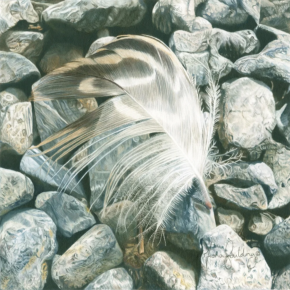 An oil painting of a feather settling on small rocks and pebbles by artist Fiona Goulding.