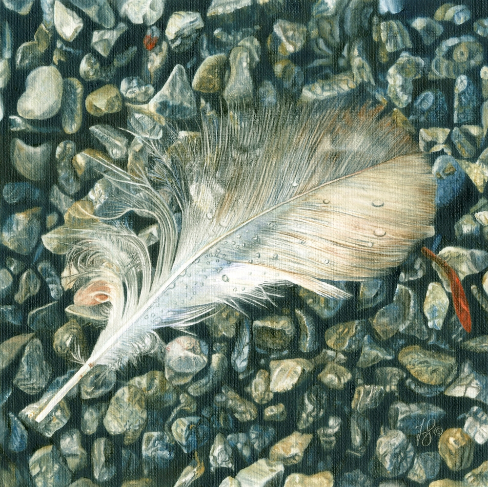 An oil painting of a delicate feather resting on small pebbles by artist Fiona Goulding.
