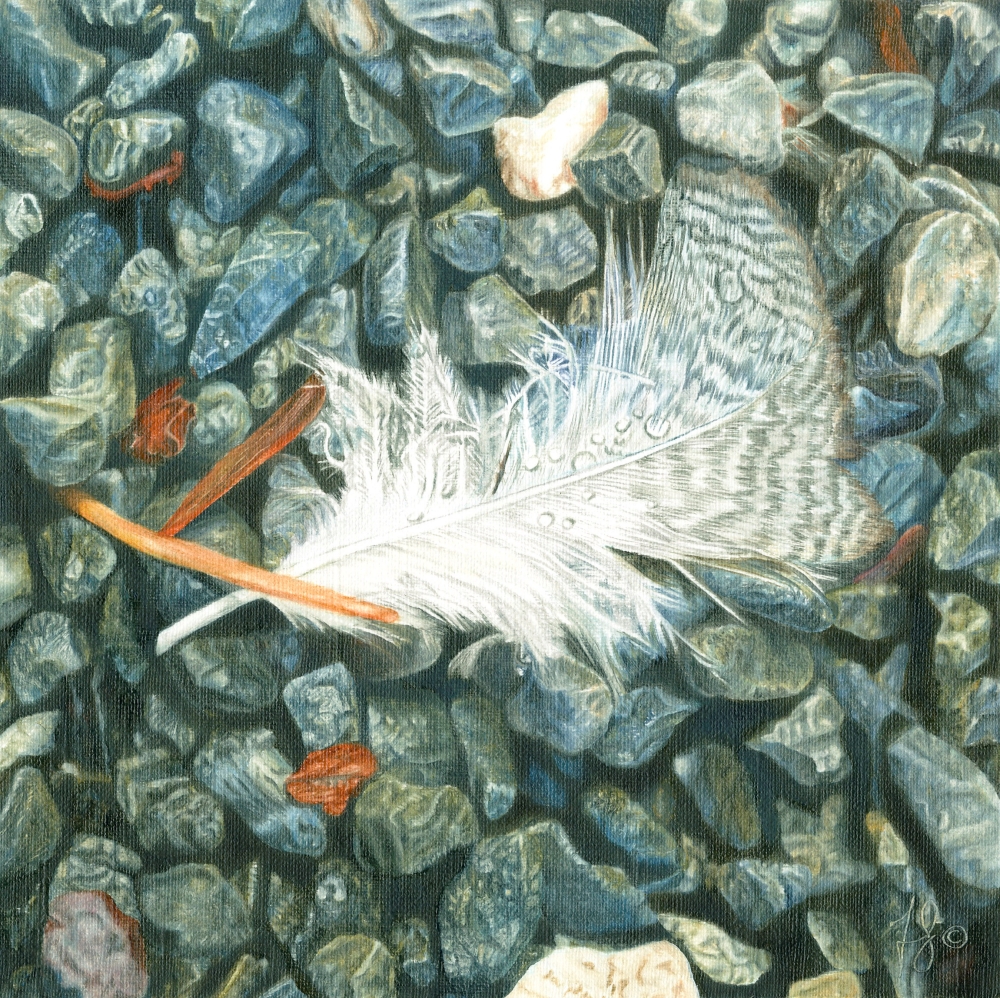 An oil painting of a delicate feather resting on small pebbles by artist Fiona Goulding.