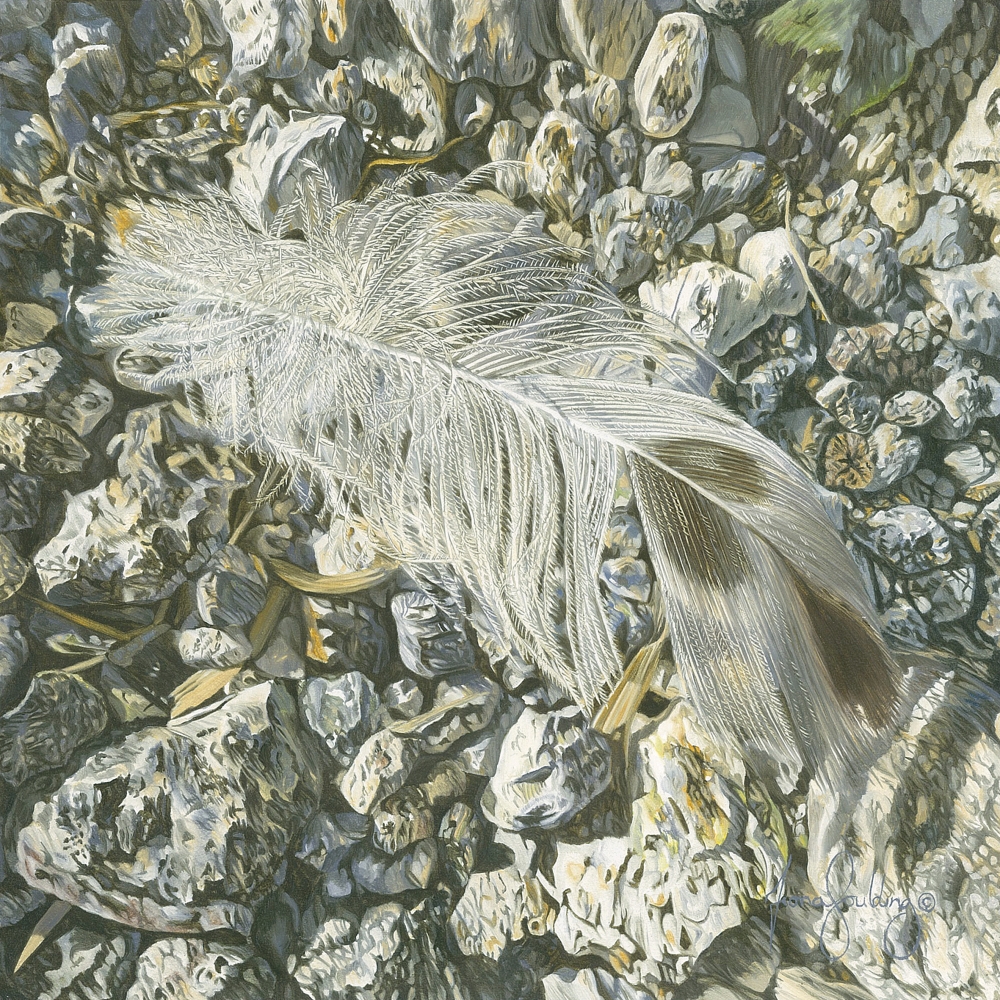 An oil painting of a feather settling on small rocks and pebbles by artist Fiona Goulding.
