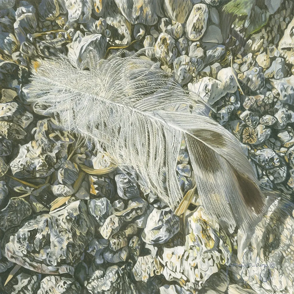 An oil painting of a feather settling on small rocks and pebbles by artist Fiona Goulding.
