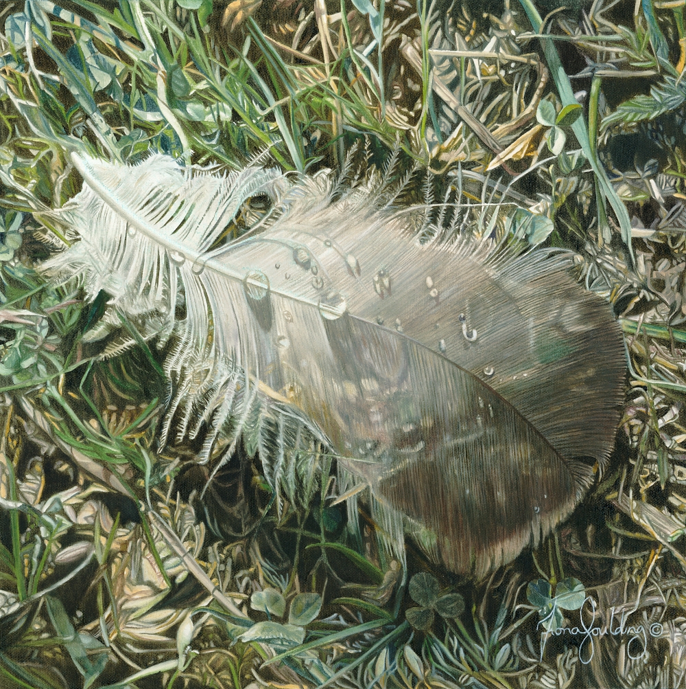 An oil painting of a feather resting on grass after a journey on the wind by artist Fiona Goulding.