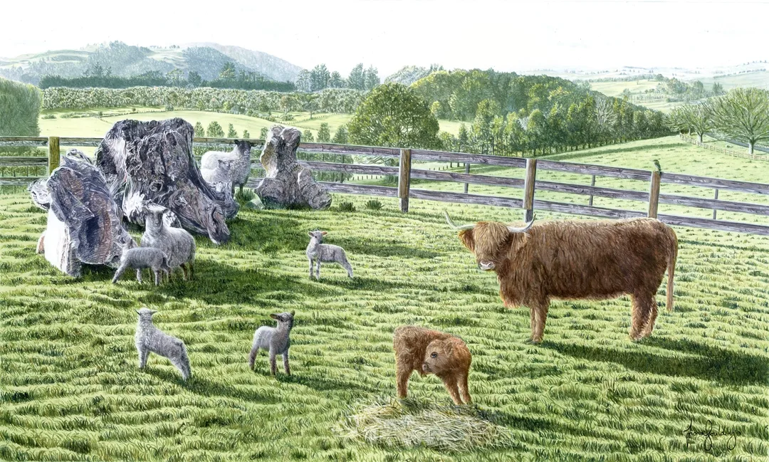 An oil painting of a female Highlander and her baby sharing the field and scenery in Northland with ewes and their lambs by artist Fiona Goulding.