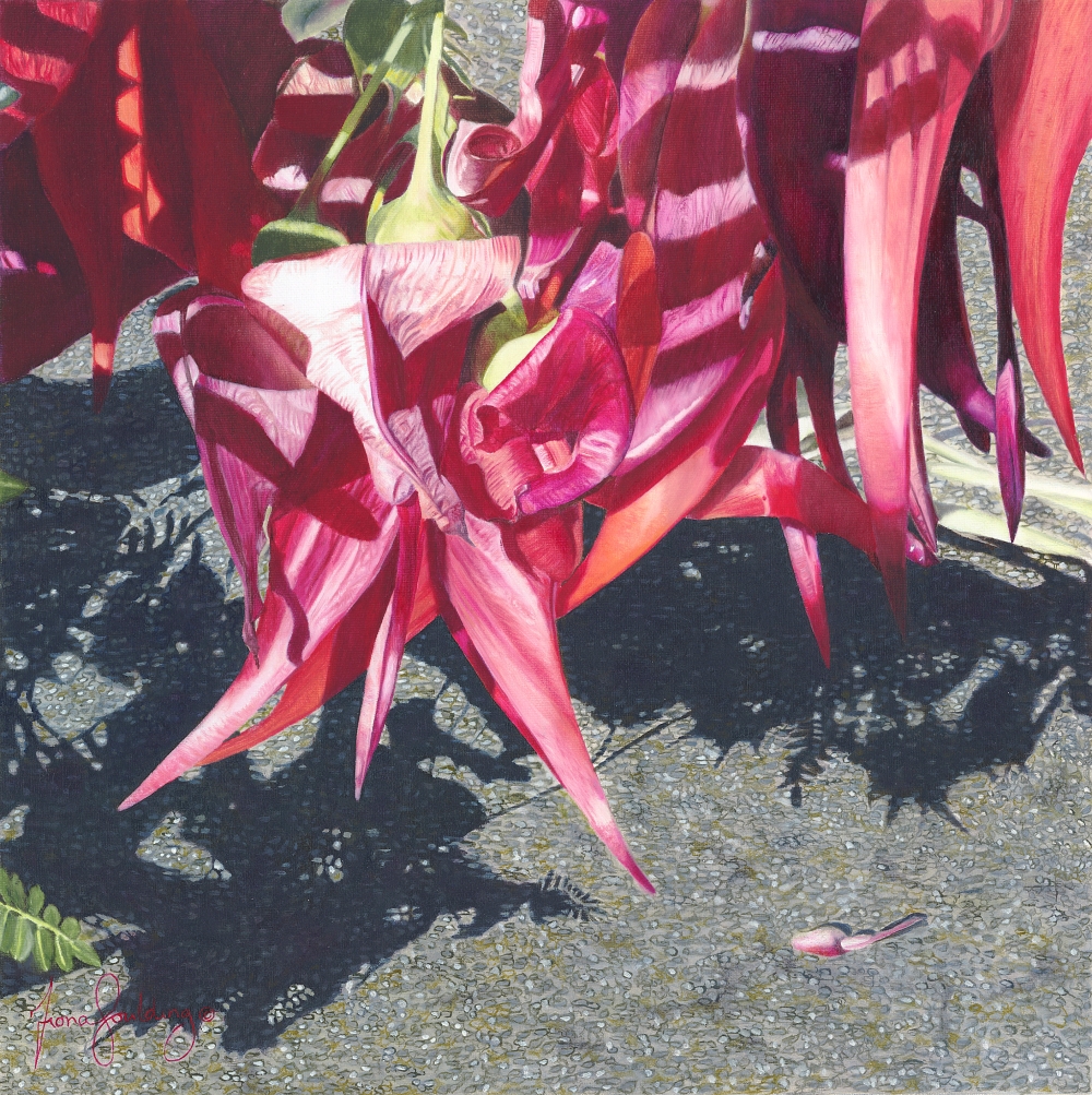 An oil painting a New Zealand Kakabeak so called due its petals resembling the shape of a kaka's beak by artist Fiona Goulding.