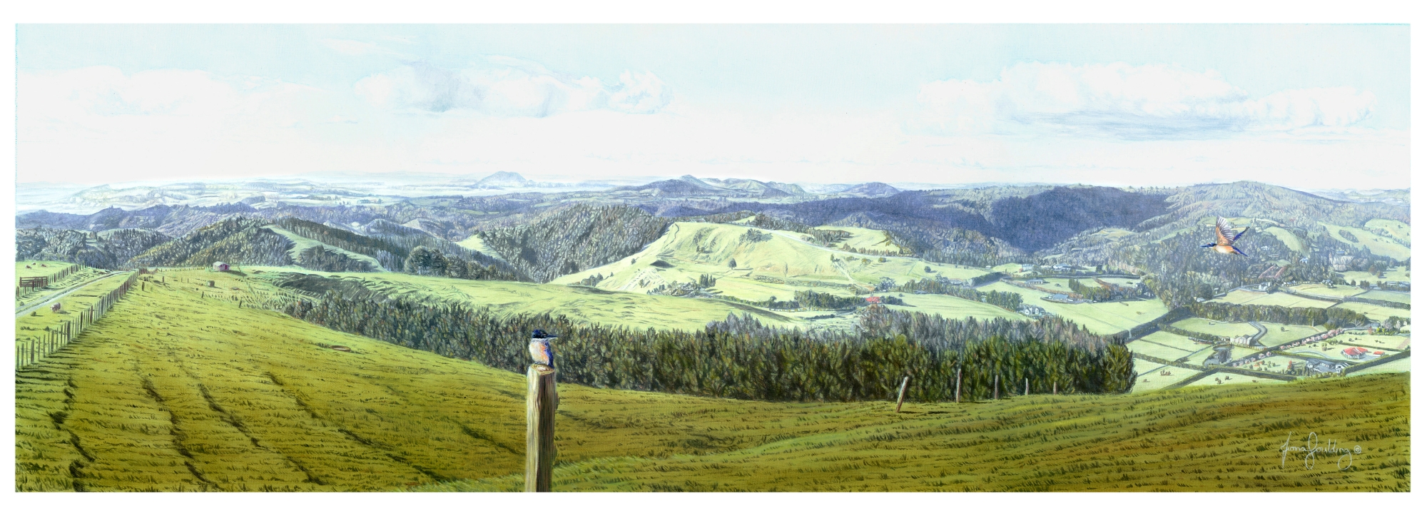 An oil painting of one Kingfisher waiting for another on the top of Maunu Hill near Whangarei in Northland by artist Fiona Goulding.