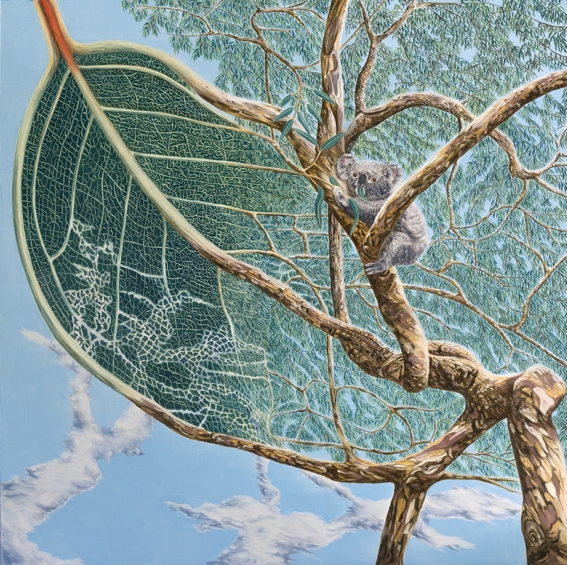 An eco-magical realism children's book illustration by Fiona Goulding, depicting a koala facing a future where its food - the eucalyptus leaf - is turning toxic from an excess of carbon dioxide.