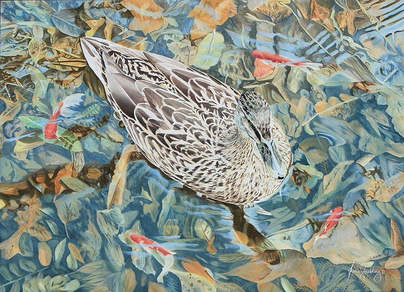 An oil painting of a female Mallard watching fish swim in a circle around her by artist Fiona Goulding.  They are likely too large for her to eat so she is happy just to watch.
