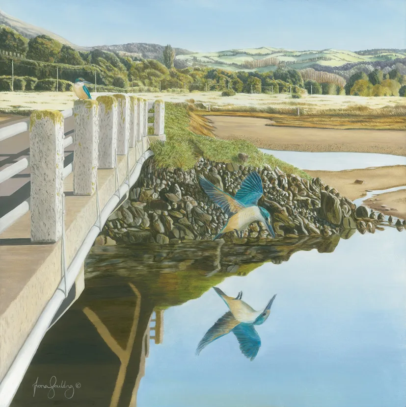 An oil painting of a New Zealand Kingfisher (Kōtare) perching on a bridge, watching another kingfisher search for food in clear water, by artist Fiona Goulding.