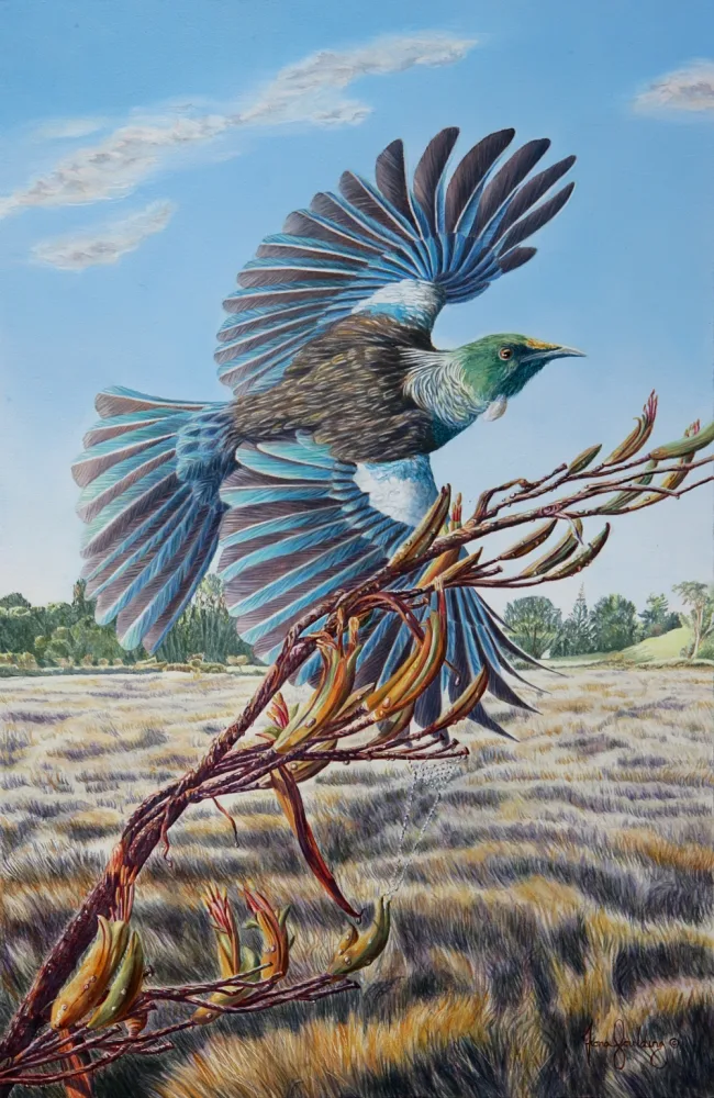 An oil painting of a New Zealand tui flying over a field of tussock grass and flax by artist Fiona Goulding.  The sunlight catches water droplets on the flax as well as a small spider's web.