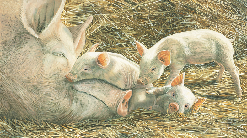 An expressive realism oil painting capturing the gentle personality of farm pigs, created for animal welfare awareness.