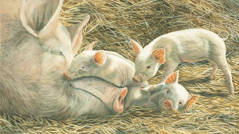 An expressive realism oil painting capturing the gentle personality of farm pigs, created for animal welfare awareness.
