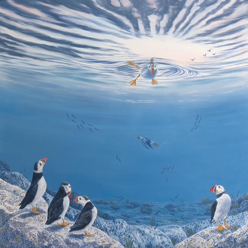 An eco-magical realism children's book illustration by Fiona Goulding, depicting a puffins trapped in an evolutionary mismatch shown as a beautiful, upside-down limbo they can no  longer fully navigate.