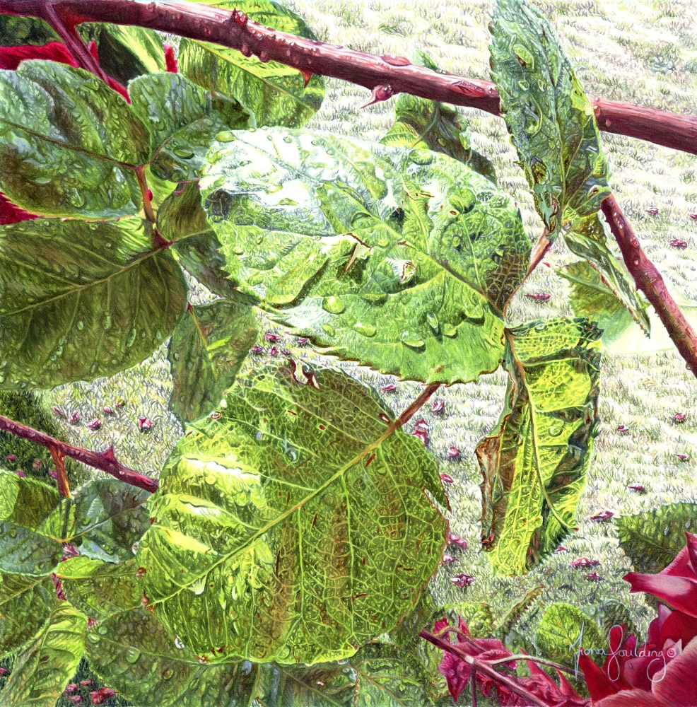 An oil painting of rose leaves glistening in the sunlight by artist Fiona Goulding.