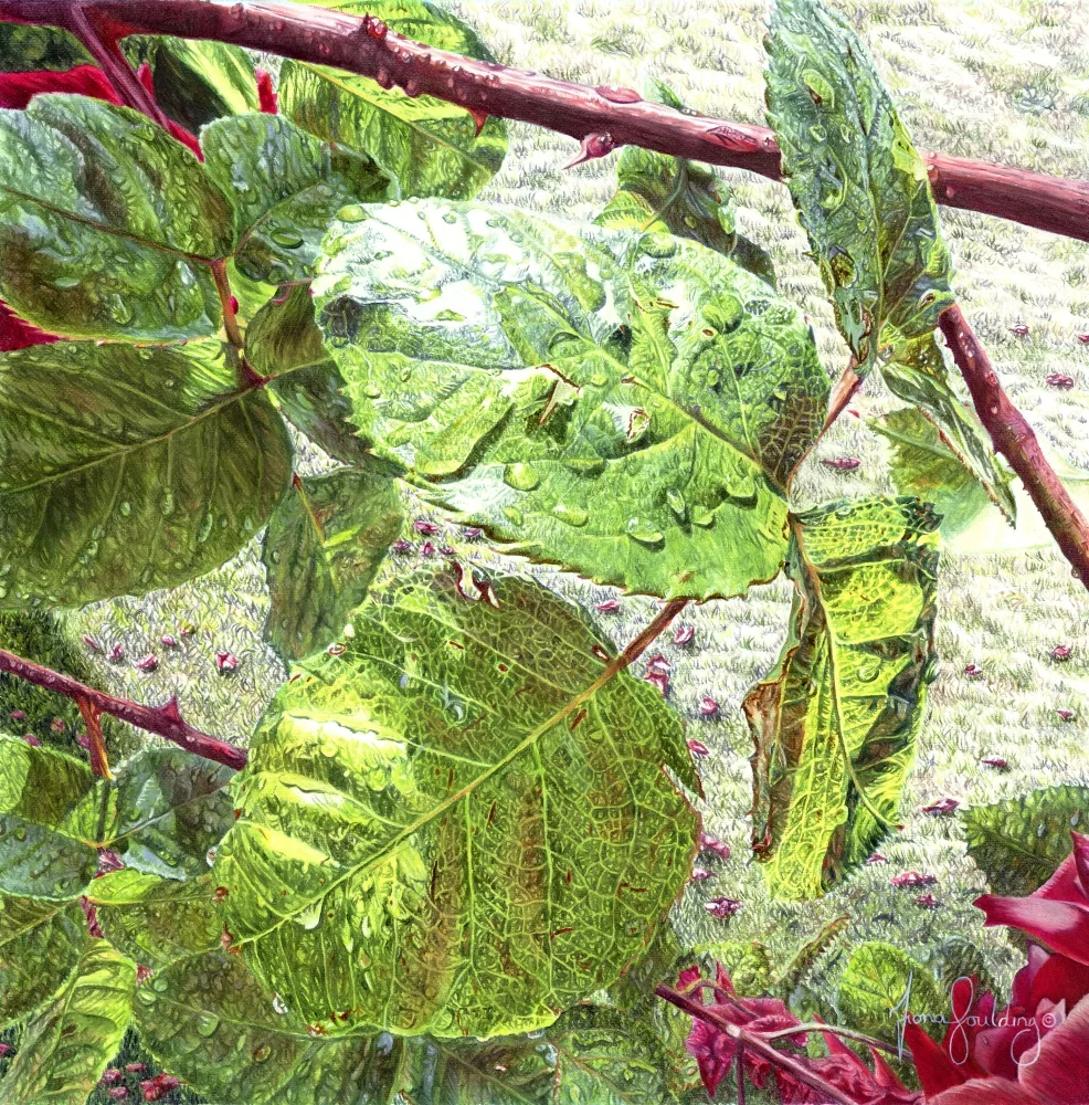 An oil painting of rose leaves glistening in the sunlight by artist Fiona Goulding.
