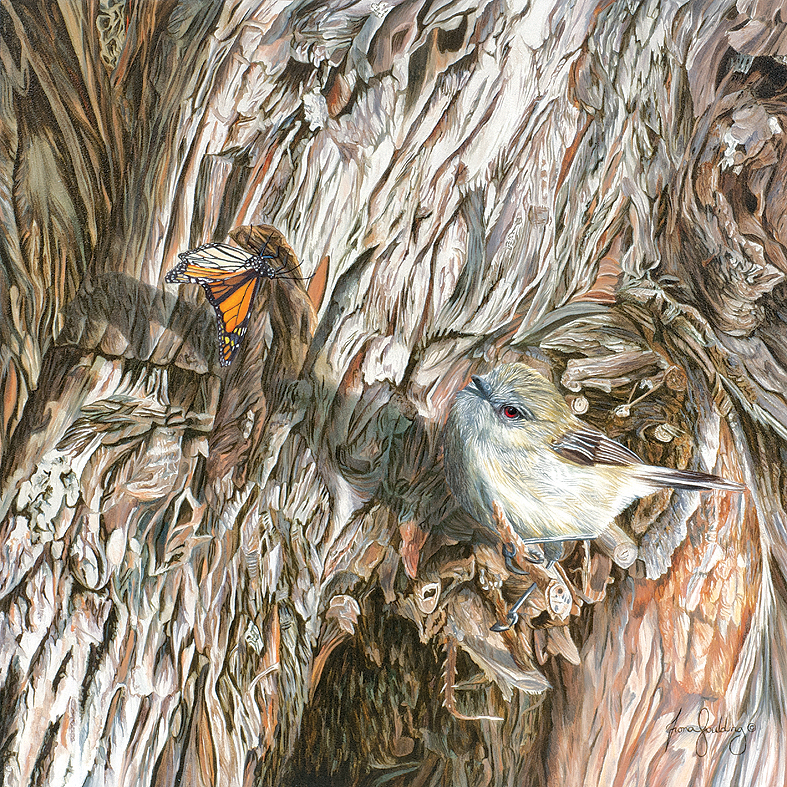 An oil painting of a grey warbler pausing in its search for insects in the tree bark to watch a monarch butterfly by artist Fiona Goulding.