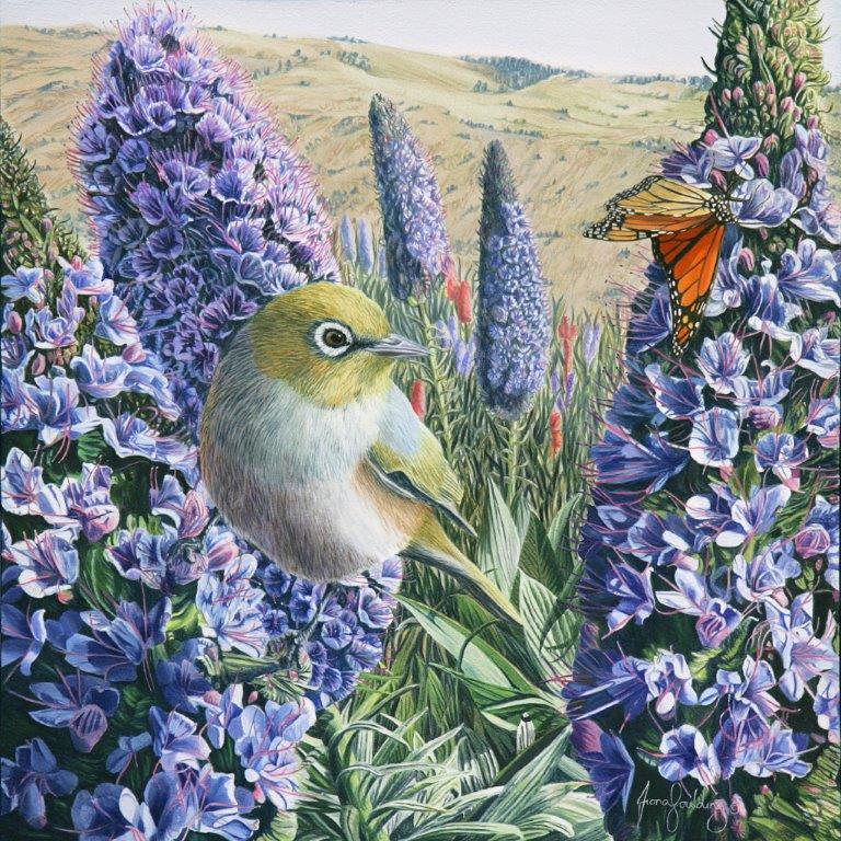 An oil painting of a Silvereye, also known as a Wax Eye or White Eye, distracted by a monarch butterfly by artist Fiona Goulding.