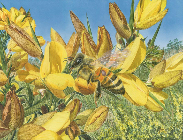 A wildlife realism oil painting of a vibrant honey bee pollinating a flower, raising awareness for global insect ecosystems.