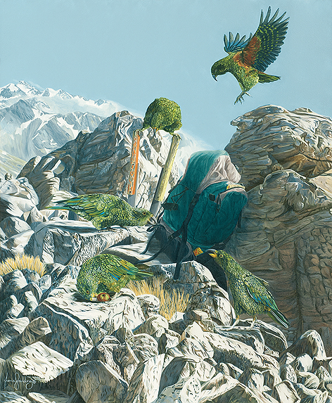 An oil painting a New Zealand Kea by artist Fiona Goulding.  A Circus of kea ransacking a walker’s rucksack near Arthurs Pass.