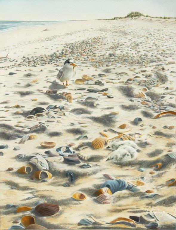 An oil painting of a New Zealand Fairy Tern (Tara Iti) by artist Fiona Goulding. An adult fairy tern feeds its young who lie vulnerable to predators in a small sand scrape.