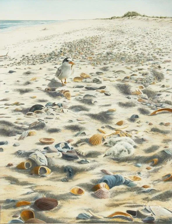 An oil painting of a New Zealand Fairy Tern (Tara Iti) by artist Fiona Goulding. An adult fairy tern feeds its young who lie vulnerable to predators in a small sand scrape.
