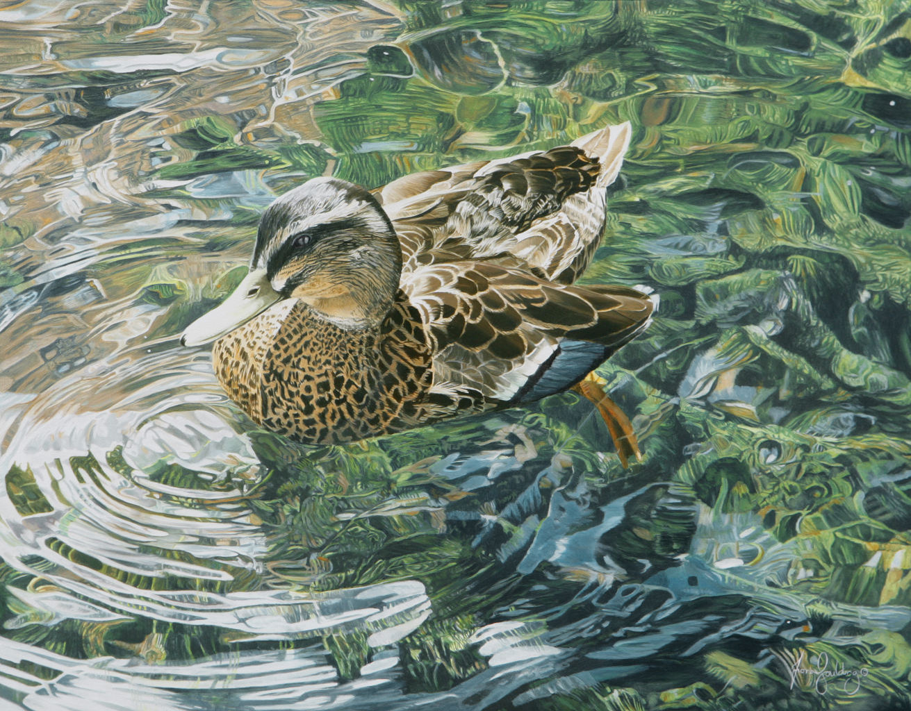 An oil painting  of a female Mallard swimming in the water while the sun dances on the surface creating a multitude of reflections by artist Fiona Goulding.