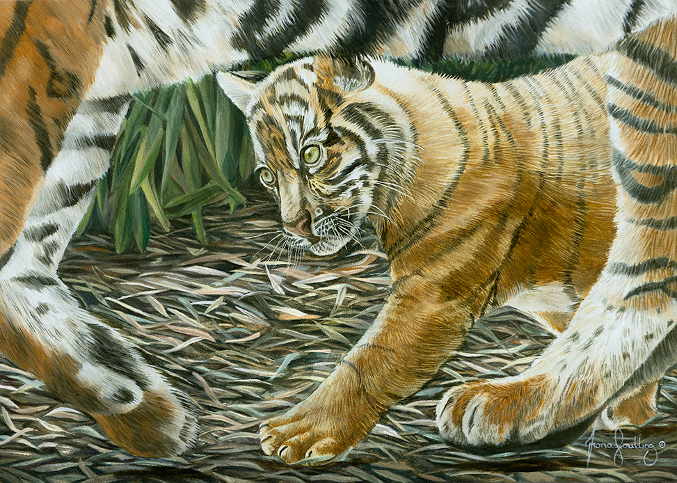 A powerful contemporary realism oil painting of an endangered Sumatran Tiger, created to support global wildlife conservation and animal welfare.