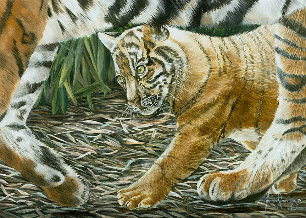 A powerful contemporary realism oil painting of an endangered Sumatran Tiger, created to support global wildlife conservation and animal welfare.