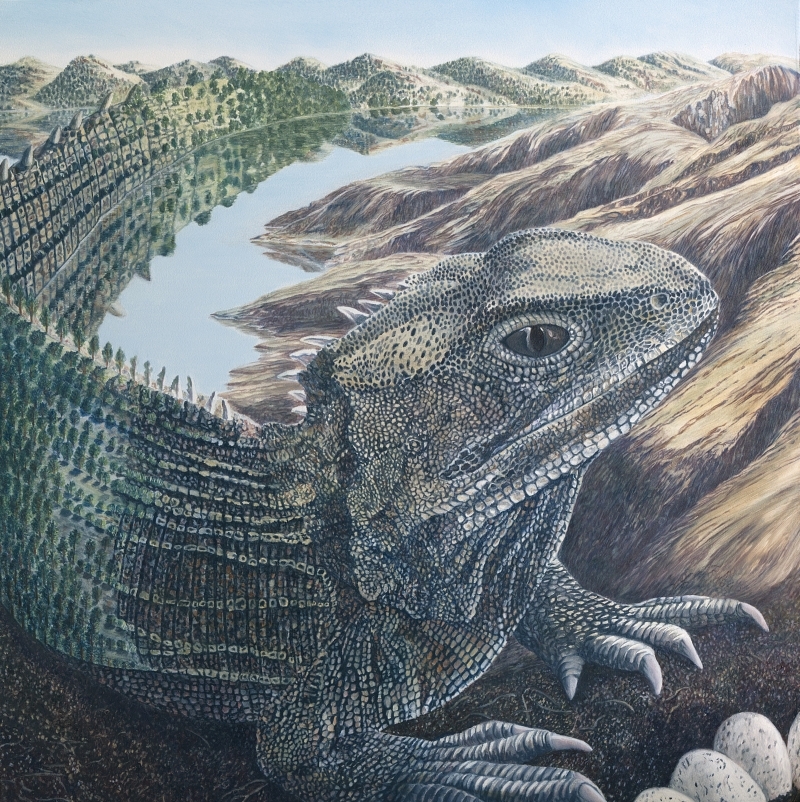 An eco-magical realism illustration from Because We Love by Fiona Goulding,
depicting the tuatara’s iconic dorsal spines morphing into a distant landscape of native forests and coastal hills.