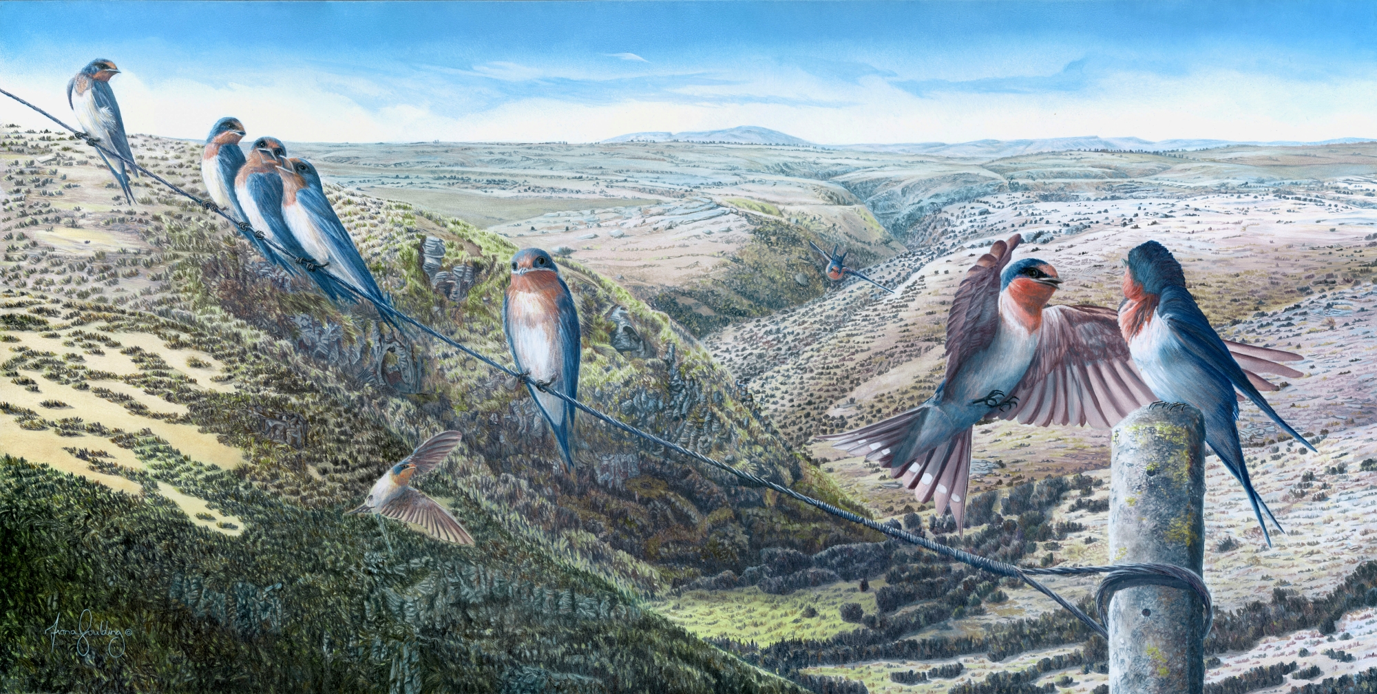 An oil painting of a group of welcome swallows converging on a power line, some vying for space by artist Fiona Goulding.