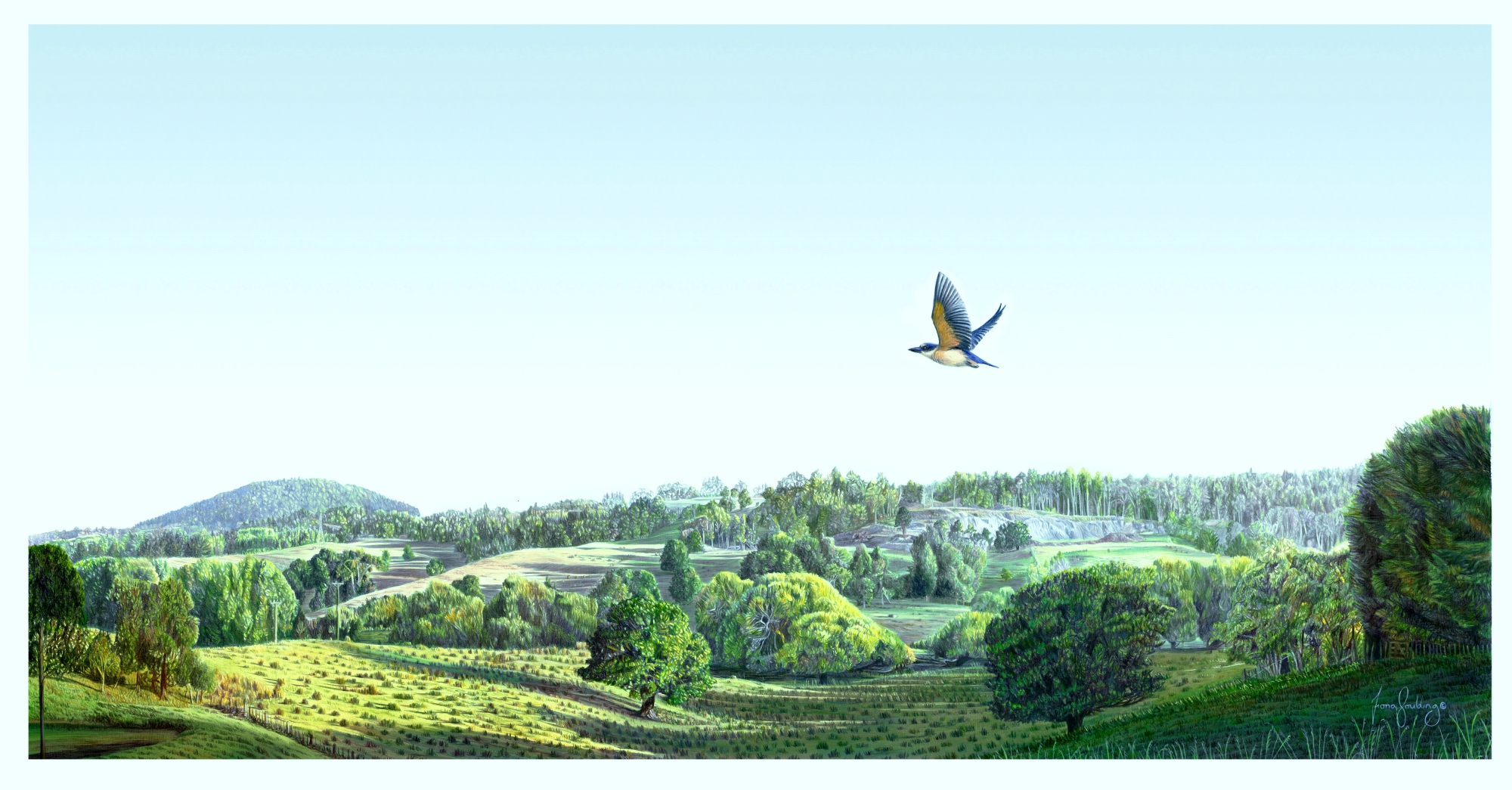 An oil painting of a Welcome Swallow flying over the Northland landscape in the early morning light with the peak of Maunu Hill in the distance by artist Fiona Goulding.