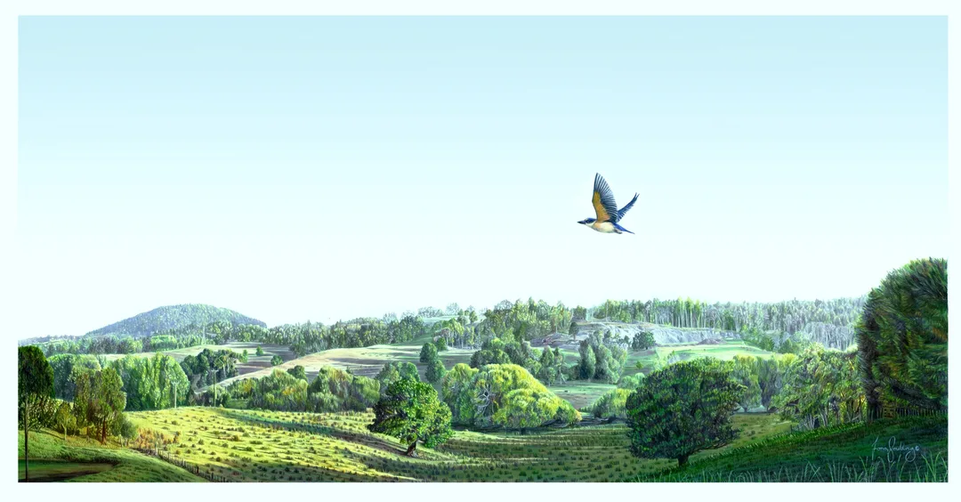 An oil painting of a Welcome Swallow flying over the Northland landscape in the early morning light with the peak of Maunu Hill in the distance by artist Fiona Goulding.