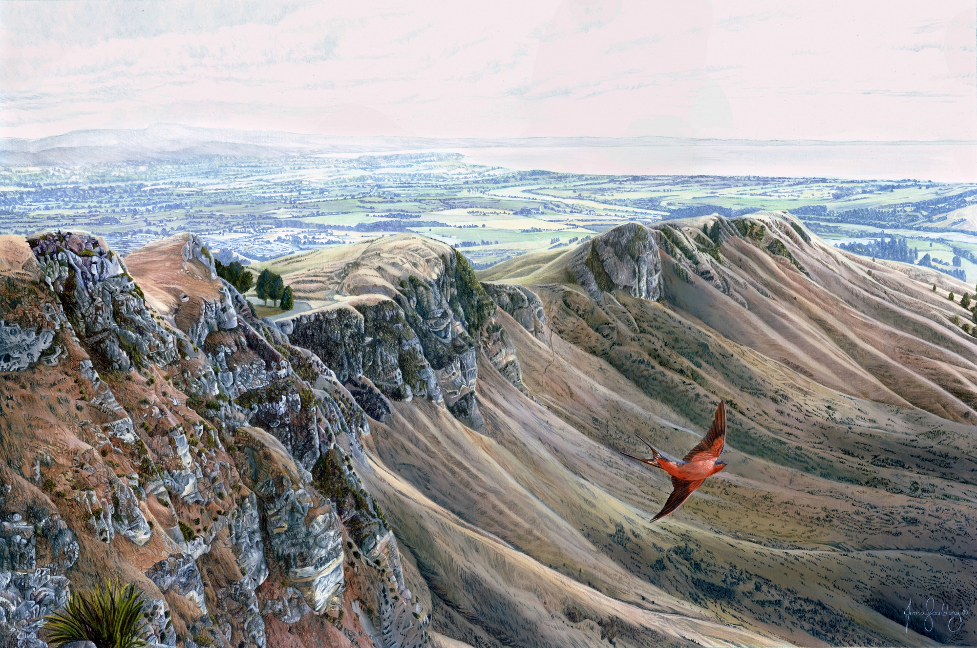 An oil painting of a Welcome Swallow soaring through the air as it sweeps past Te Mata Peak near Havelock North, New Zealand by artist Fiona Goulding.