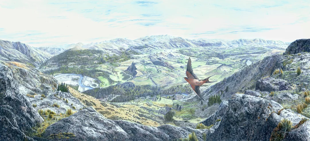 An oil painting of a Welcome Swallow sweeping across Queenstown Hill with the Remarkables in the background by artist Fiona Goulding.