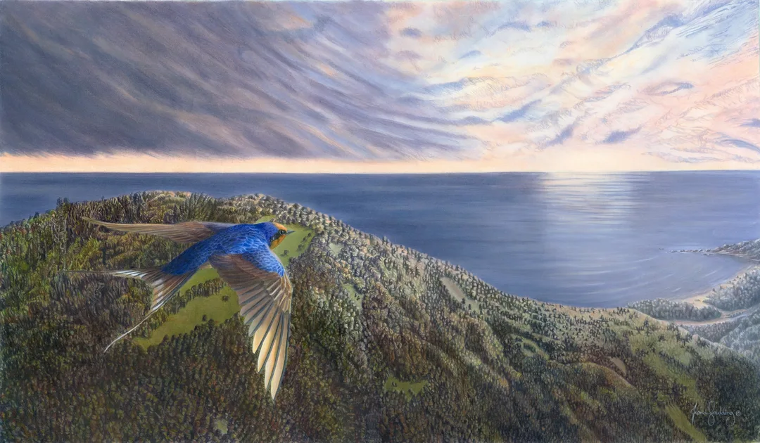 An oil painting of a Welcome Swallow heading home led by the setting sun over the water in Northland, New Zealand by artist Fiona Goulding.