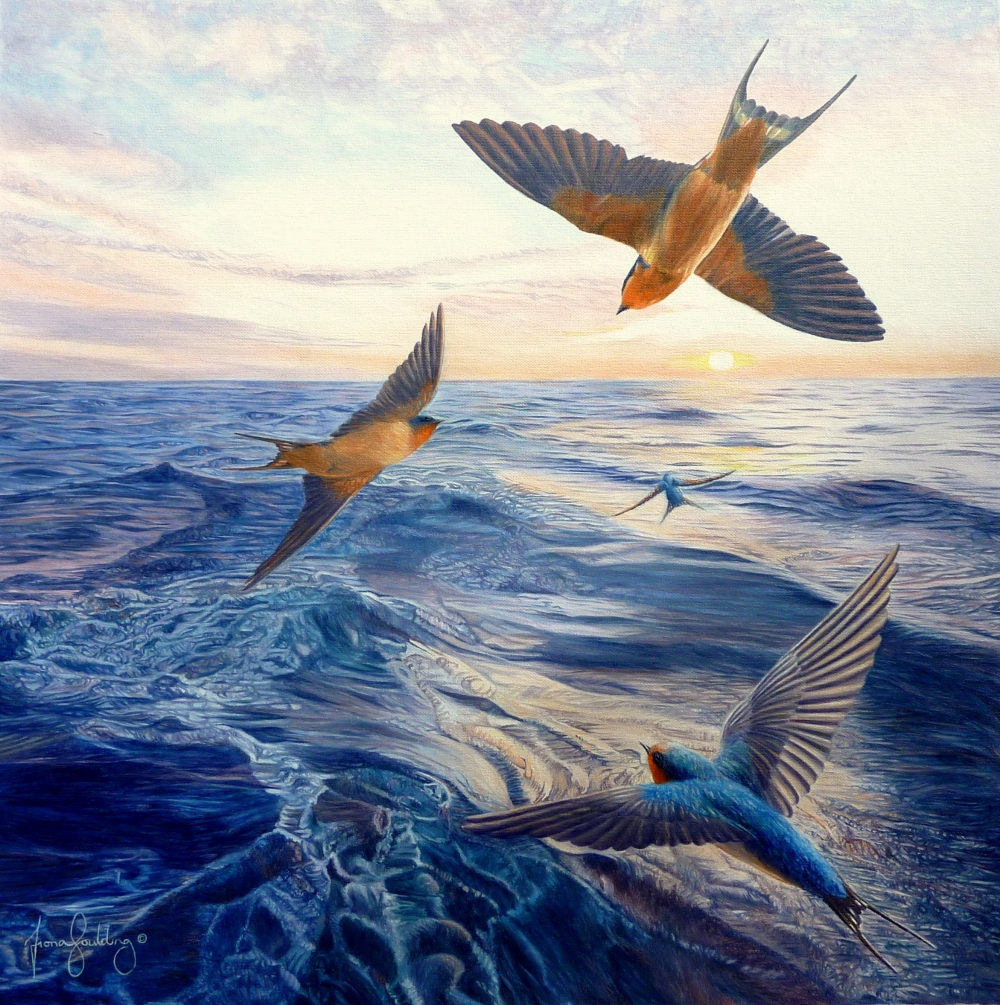 An oil painting showing Welcome swallows flying out to sea towards the early morning dawn by artist Fiona Goulding.